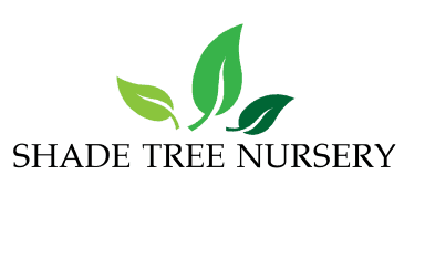 Shade Tree Nursery