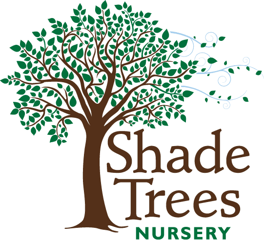Shade Trees Nursery Inc.