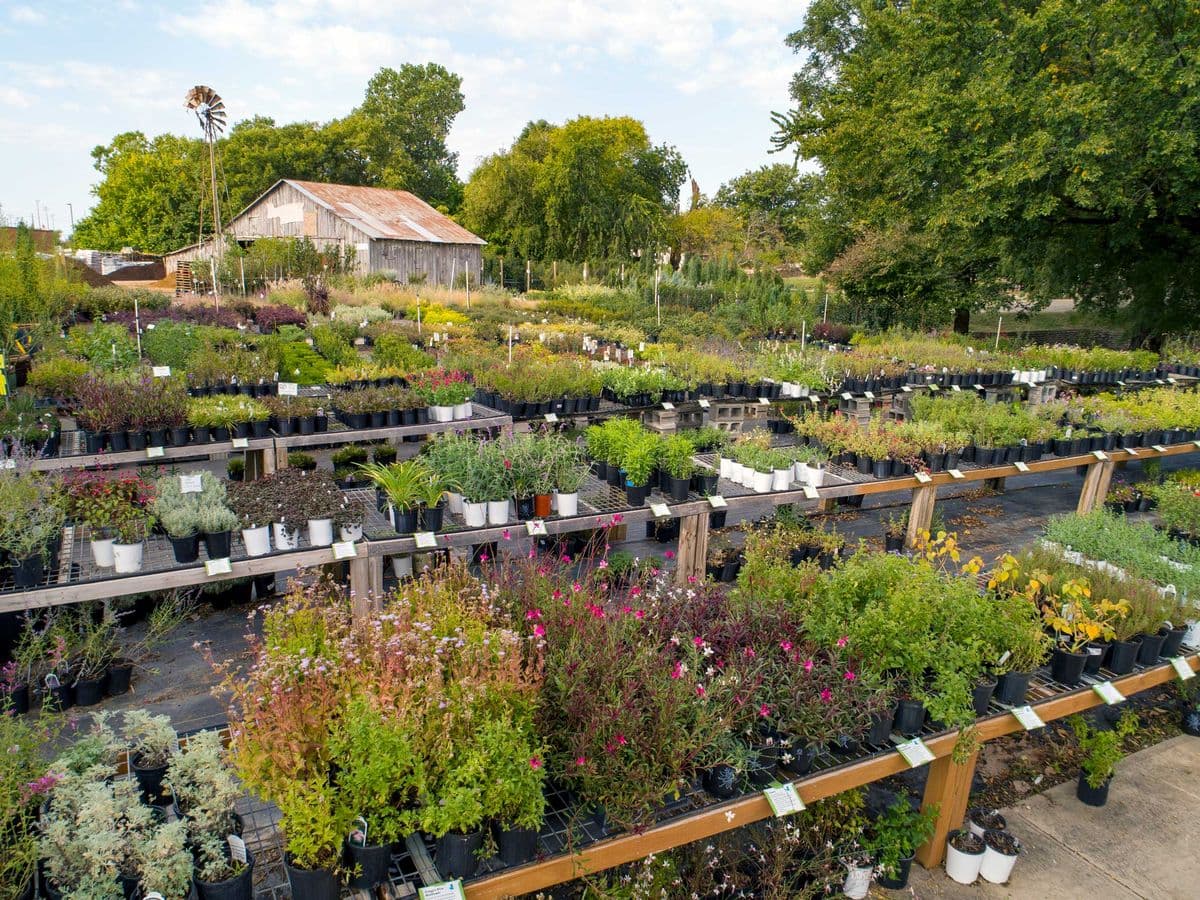 Shades of Green Nursery + Landscape - Celina