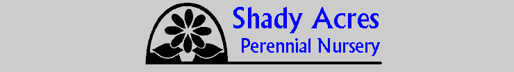 Shady Acres Perennial Nursery