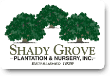 Shady Grove Plantation-Nursery