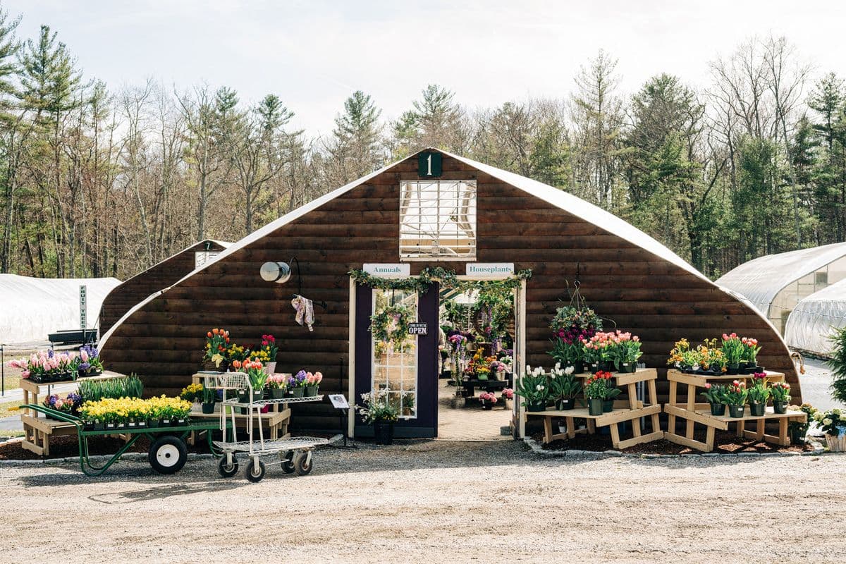 Shady Hill Greenhouse-Nursery