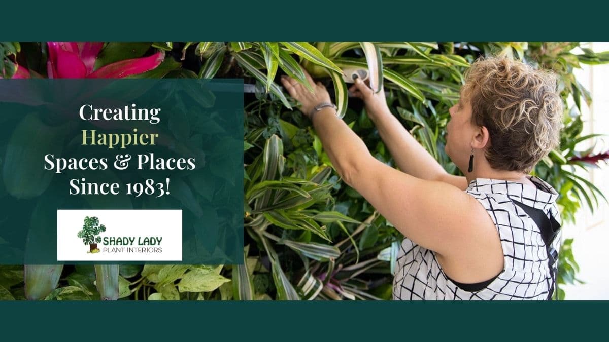 Shady Lady Plant Interiors