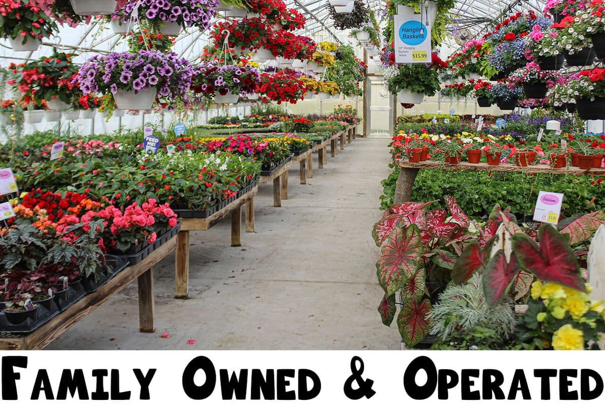 Shady Lane Flowers Greenhouse