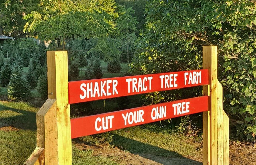 Shaker Tract Christmas Tree Farm