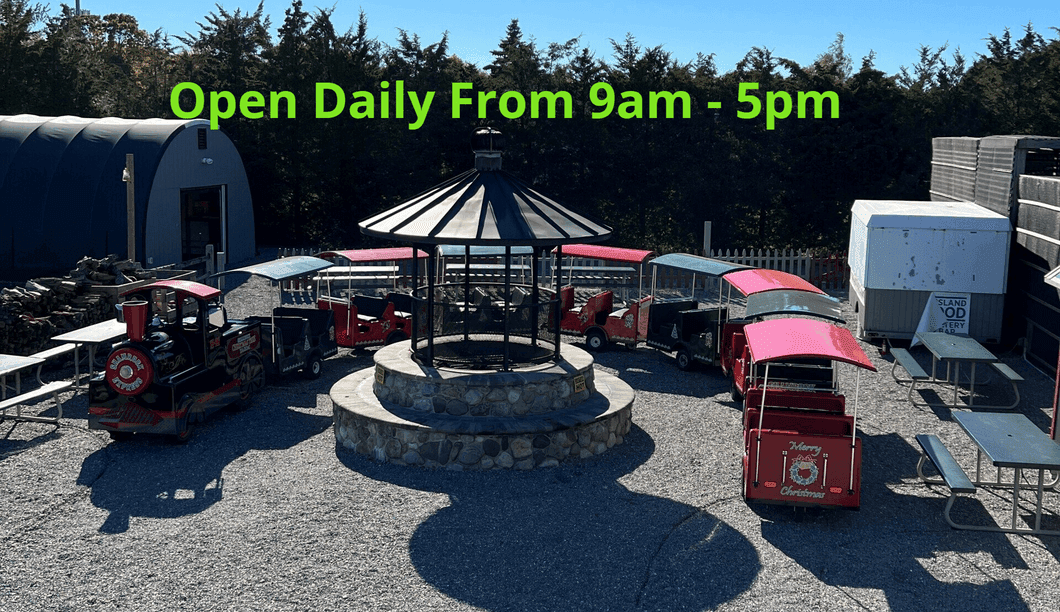 Shamrock Christmas Tree Farm