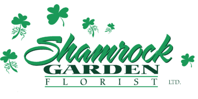 Shamrock Garden Florist Ltd.
