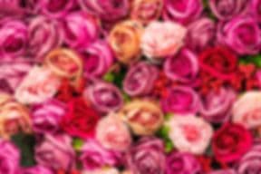 Shanbri Farm Gifts & Garden
