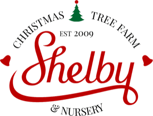 Shelby Christmas Tree Farm & Nursery