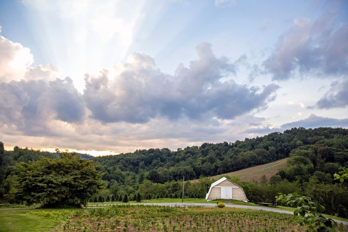 Shepherd's Way Farms
