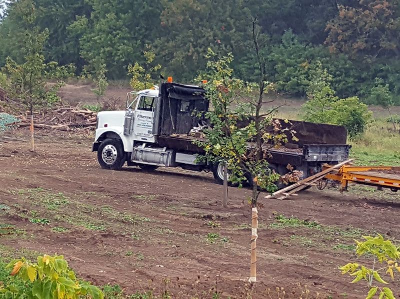 Sherman Nursery Farms | St. Clair County Landscaping