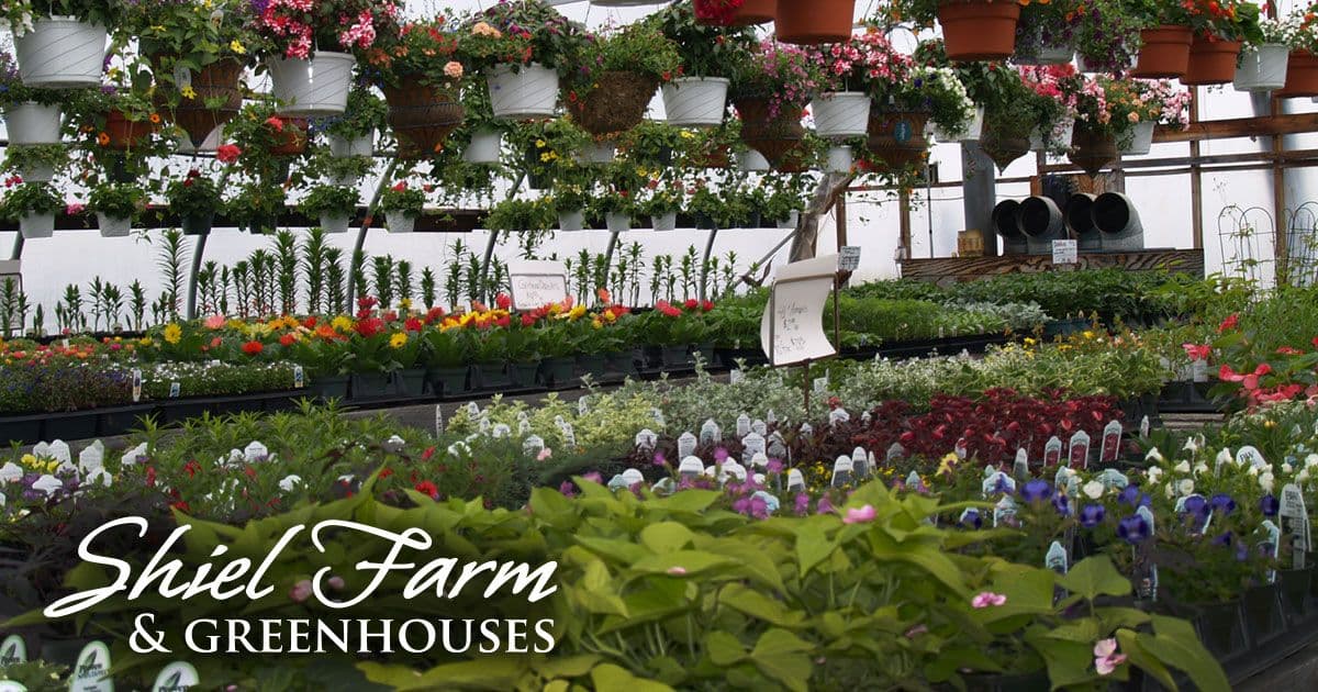 Shiel Farm & Greenhouses