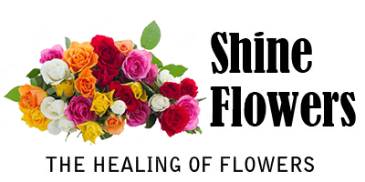 Shine Flowers