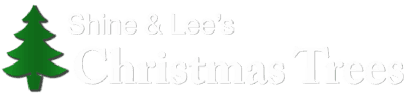 Shine & Lee's Christmas Trees