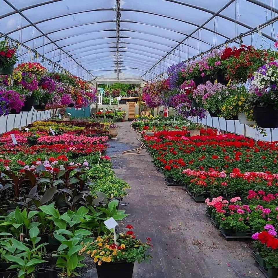 Shoreline Garden Center