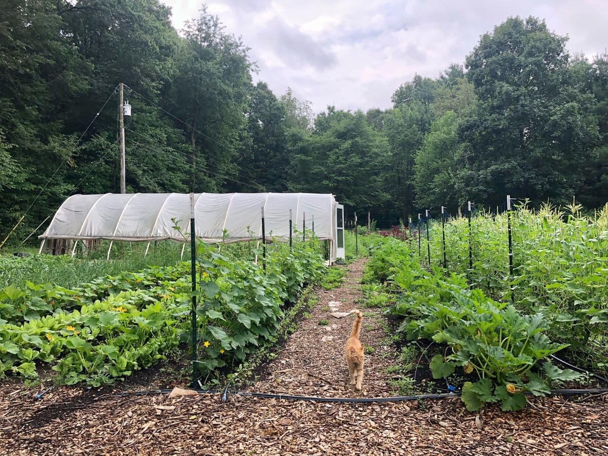 Sideoats Farm