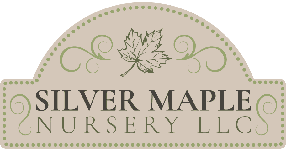 Silver Maple Nursery, LLC