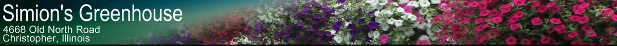 Simions Greenhouse