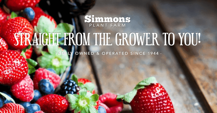 Simmons Plant Farm