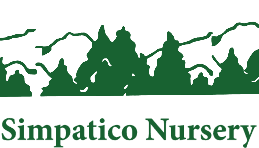 Simpatico Nursery