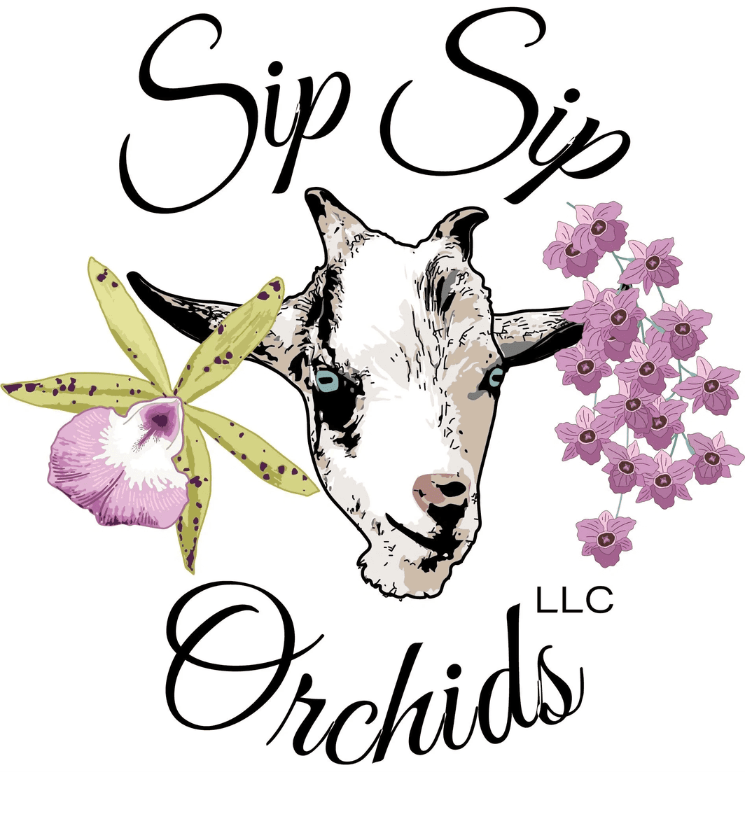 Sip Sip Orchids, LLC