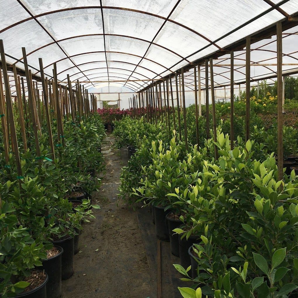 Sky Nursery