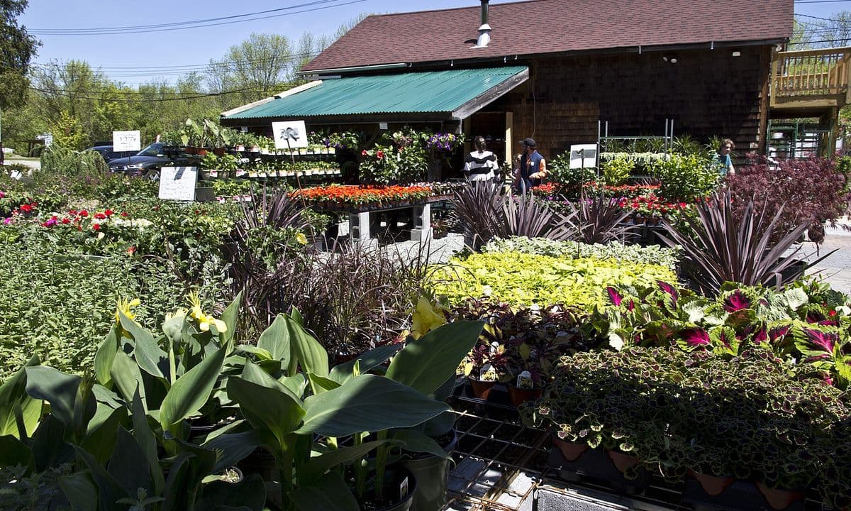 Sloatsburg Nursery