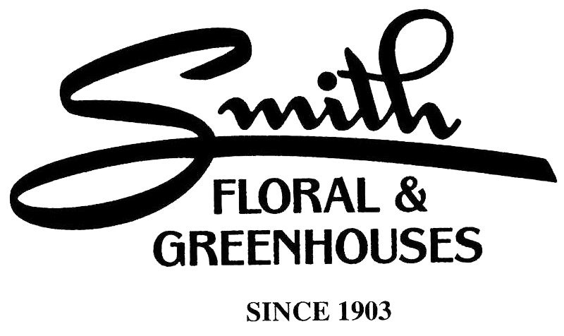 Smith Green Plants