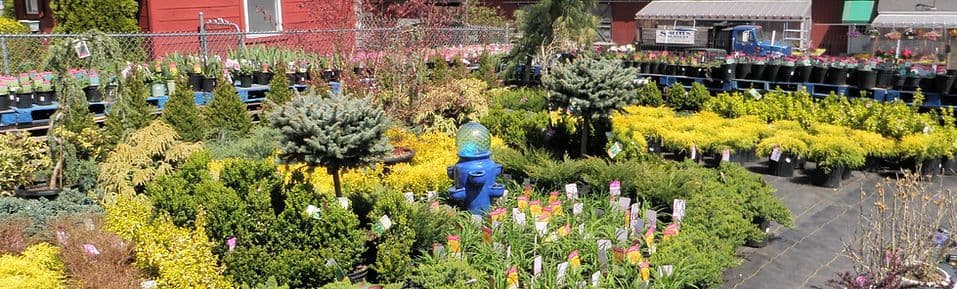 Smiths Nursery