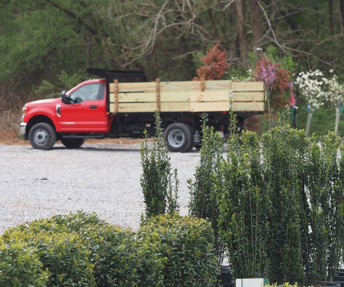 Smokey Park Nursery & Landscape Design Center