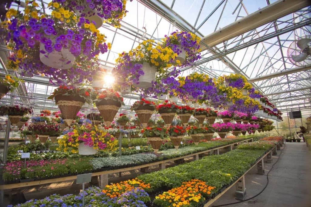 Smucker Gardens