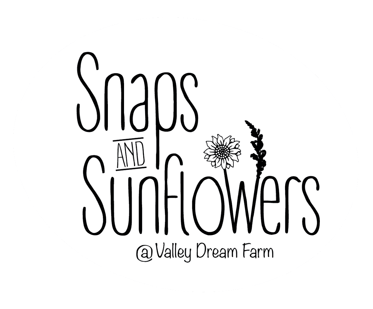 Snaps & Sunflowers