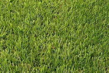 Sod Depot of Orlando