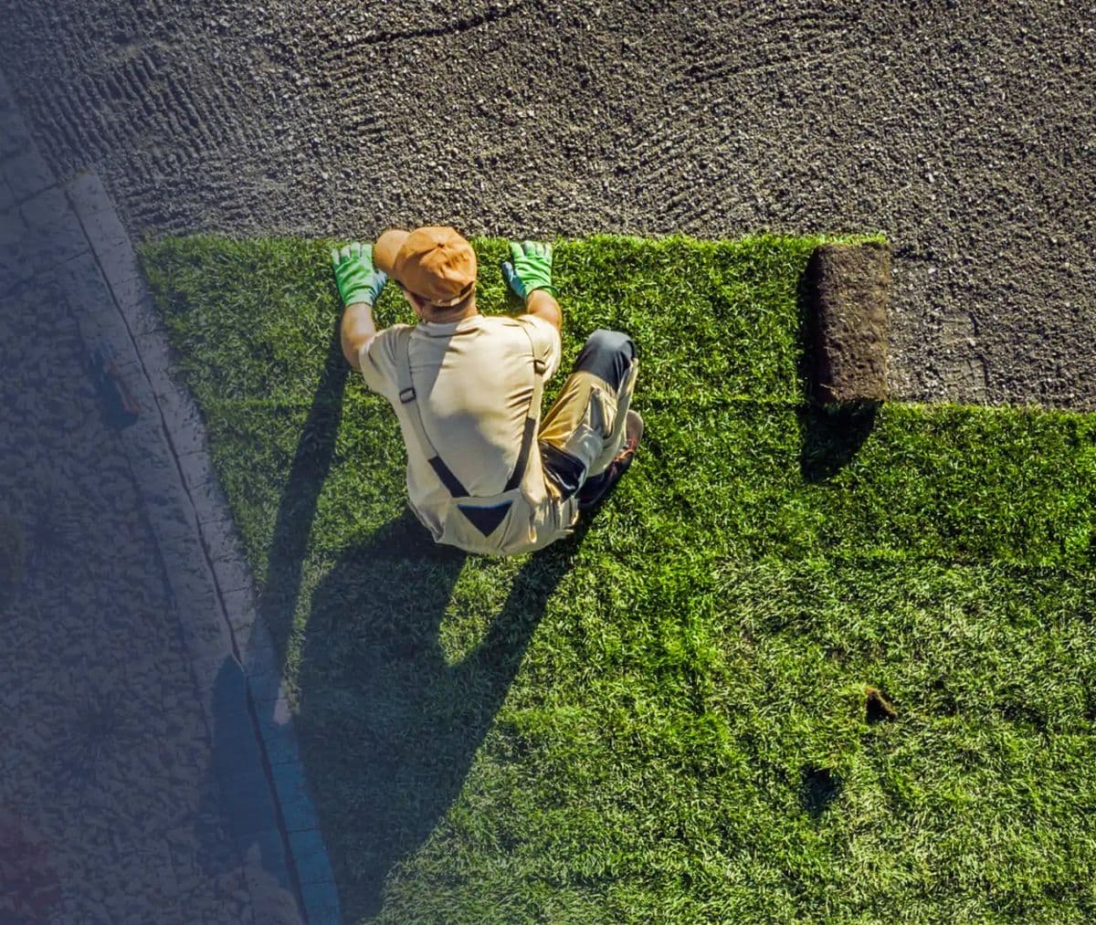 SodLawn