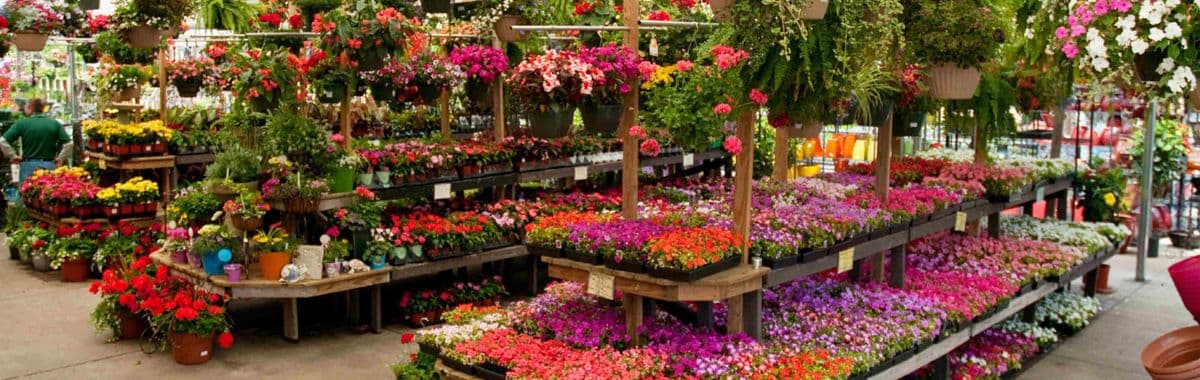 Soil Service Garden Center