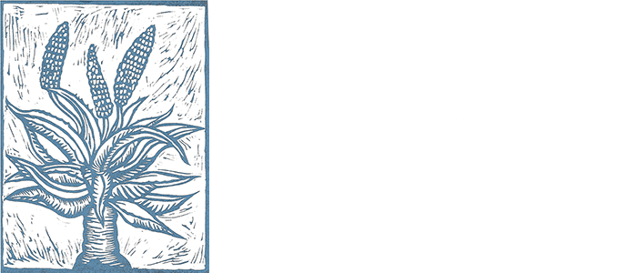 Solana Succulents