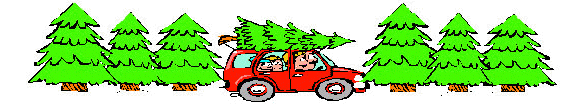 Songer's Christmas Tree Farm