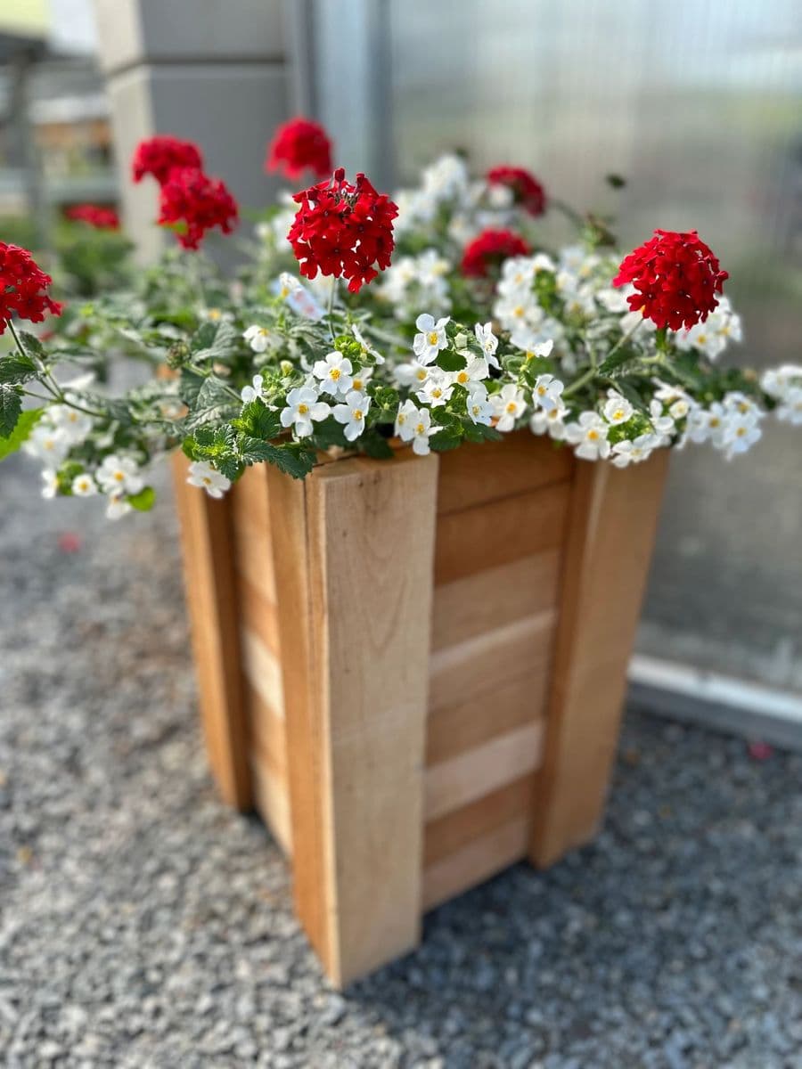Sonlight's Blessing Greenhouse