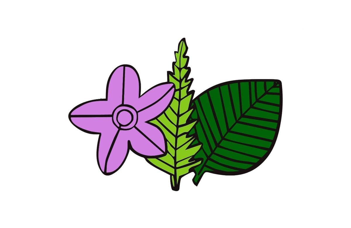 Soquel Nursery Growers, Inc.