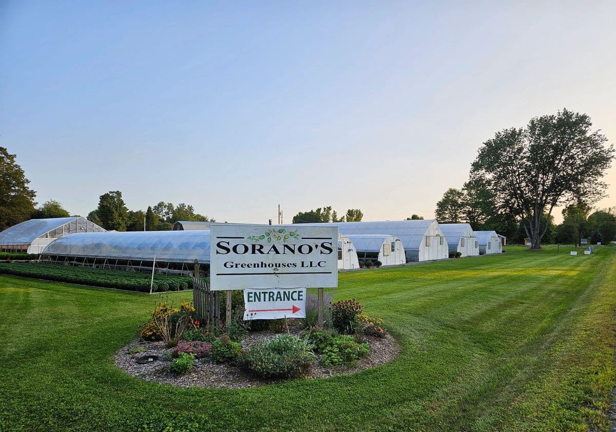 Sorano's Greenhouses LLC
