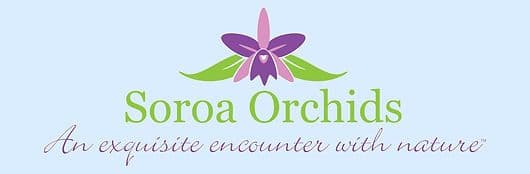 Soroa Orchids