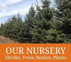 South Park Nursery & Landscaping