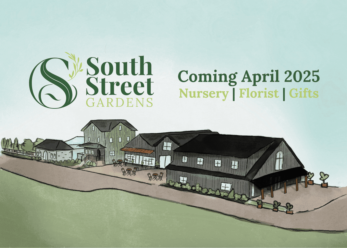 South Street Gardens