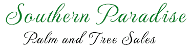 Southern Paradise Palm and Tree Sales