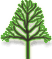 Southern Pride Tree Farm