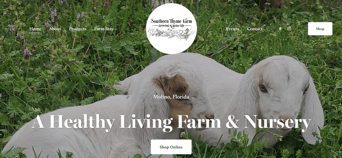Southern Thyme Farm