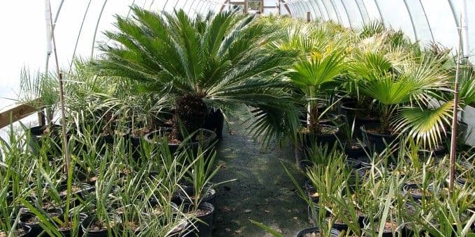 Southland Nursery & Landscaping