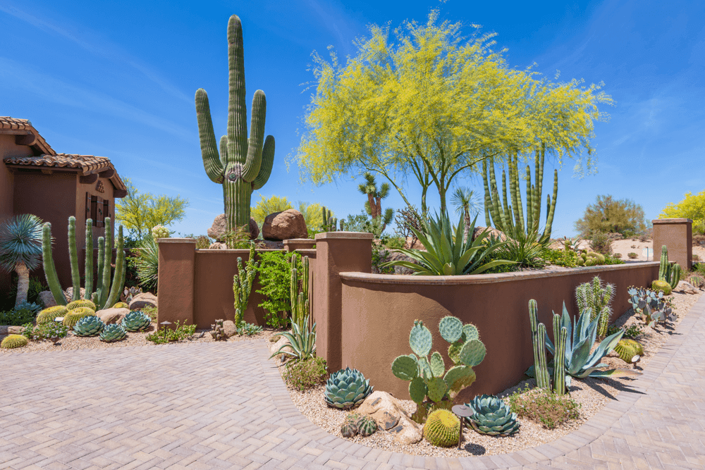 Southwest Cactus LLC