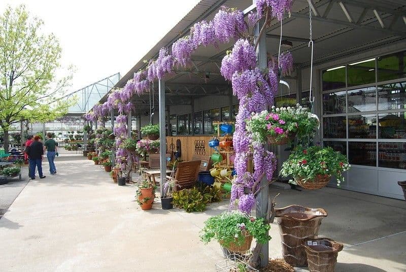 Southwood Home & Garden