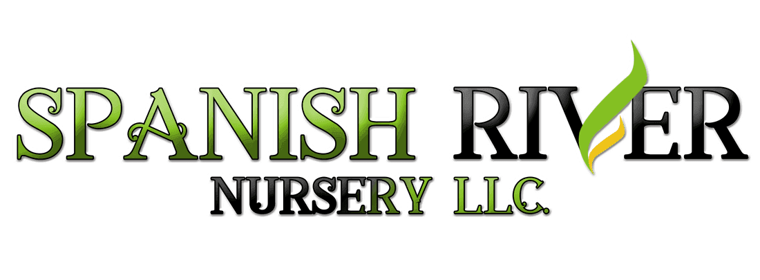 Spanish River Nursery Inc